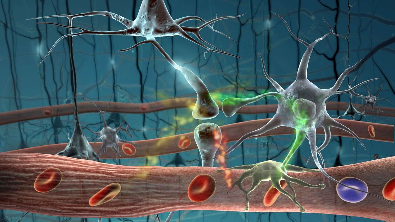 células parásitas en el cuerpo humano