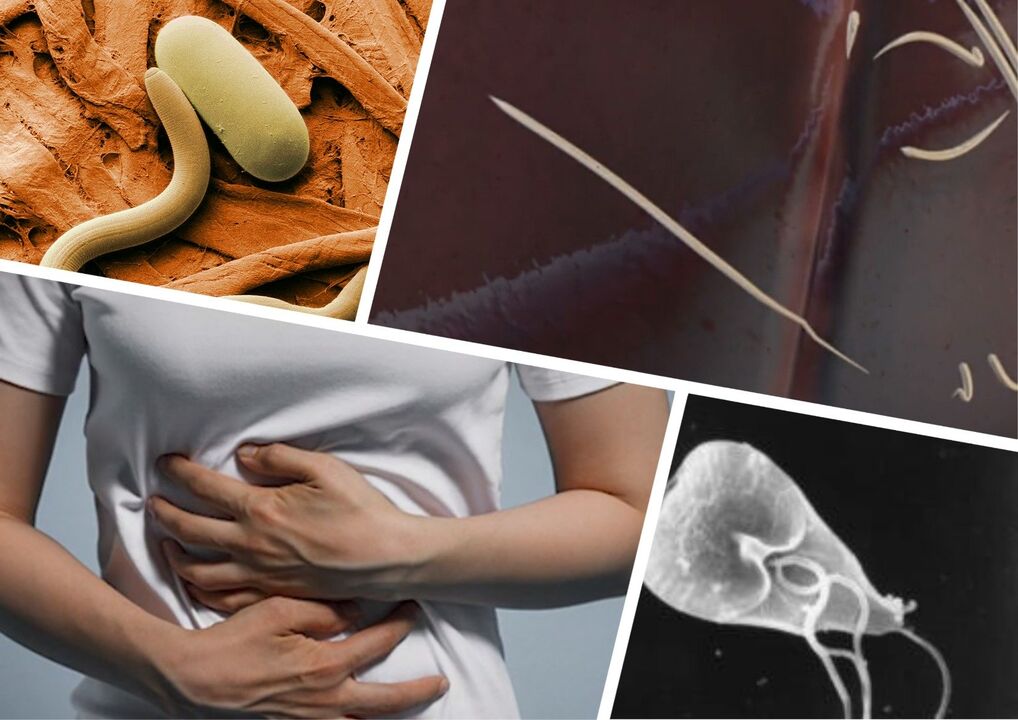 Parásitos en el tratamiento del cuerpo